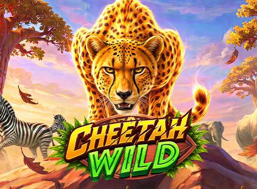Cheetah Wild - Videokolikkopeli (Pragmatic Play)