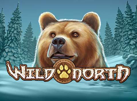 Wild North - Videokolikkopeli (Play